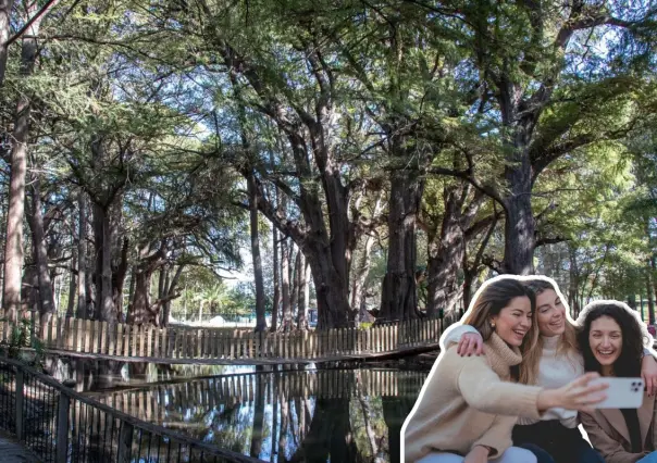 Explora la naturaleza del Parque El Sabinal mientras disfrutas de increíbles actividades