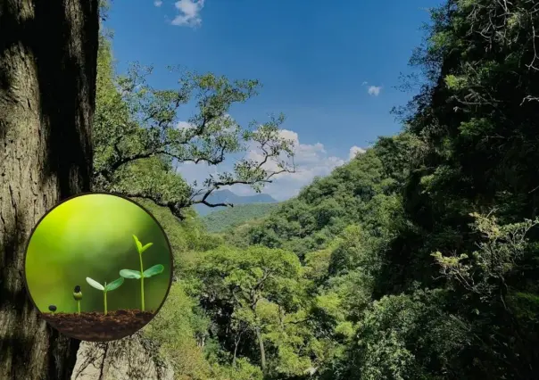 Estas son las plantas y árboles nativos de Nuevo León que puedes encontrar en el Cañón de la Virgen