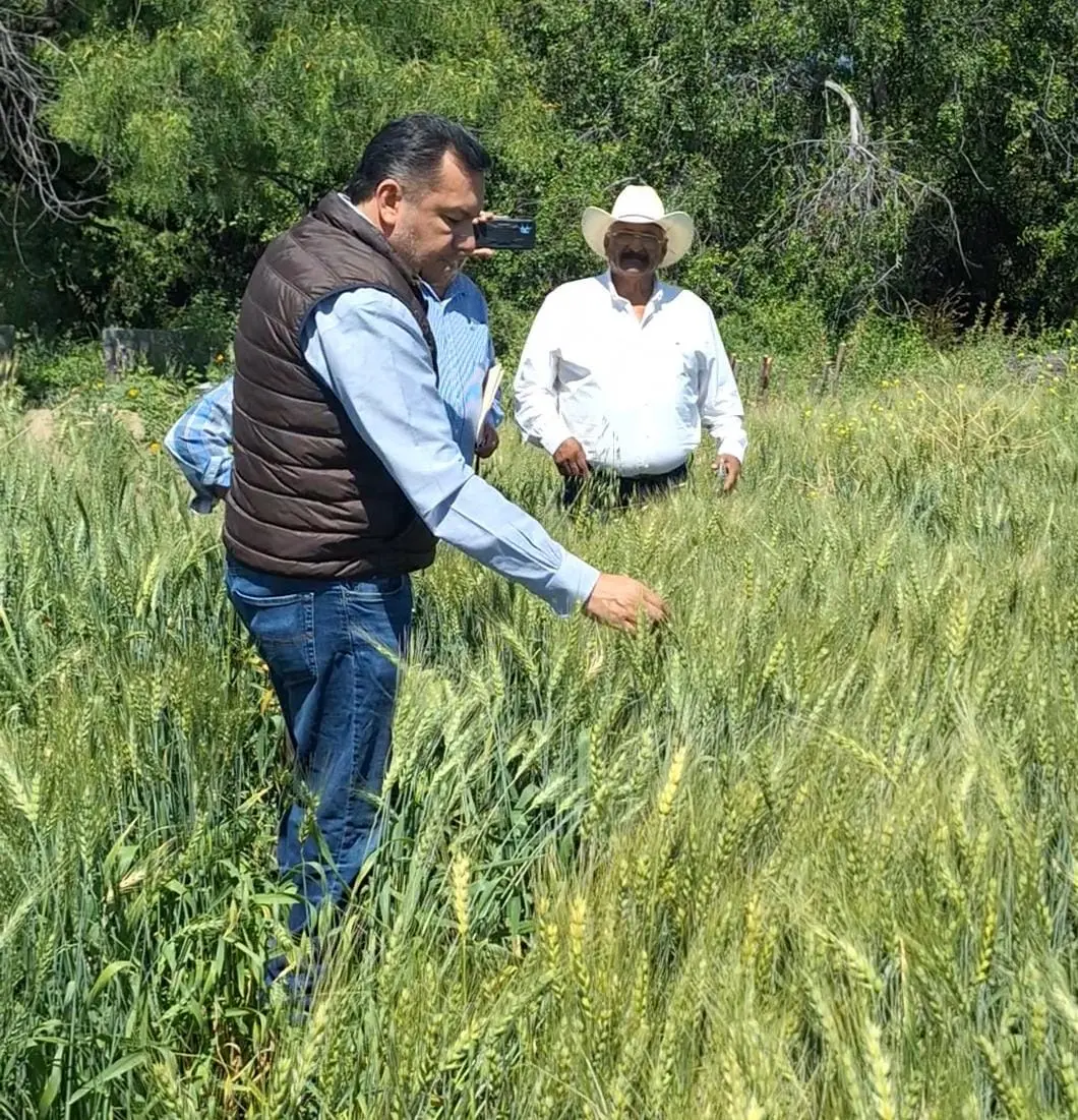 imagen recuadro Jesús María Montemayor Garza, en contacto con agricultores coahuilenses / Foto: Gobierno de Coahuila