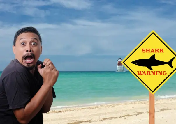 ¿Hay reporte de tiburones en las playas turísticas de Yucatán?