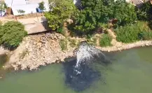 ¿Cuál es el “pez diablo” que tiñó de negro el río Grijalva en Tabasco?
