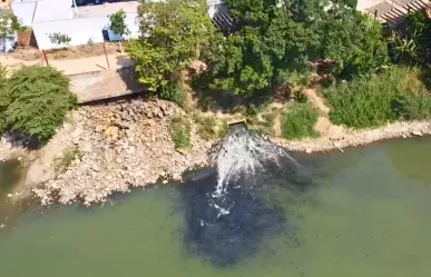 ¿Cuál es el "pez diablo" que tiñó de negro el río Grijalva en Tabasco?