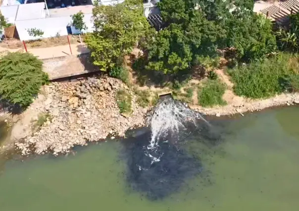 ¿Cuál es el "pez diablo" que tiñó de negro el río Grijalva en Tabasco?