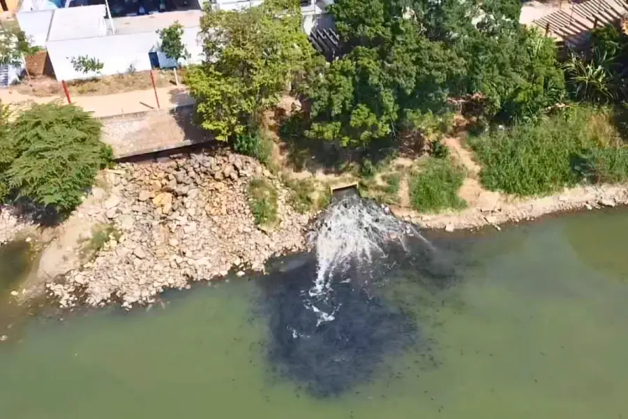¿Cuál es el “pez diablo” que tiñó de negro el río Grijalva en Tabasco?