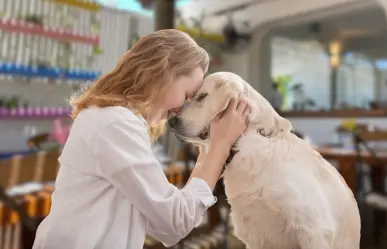 3 restaurantes pet friendly en La Paz que debes visitar con tu mascota