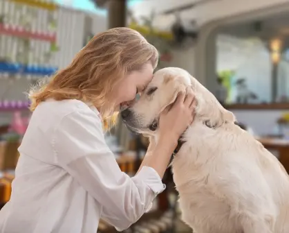 3 restaurantes pet friendly en La Paz que debes visitar con tu mascota
