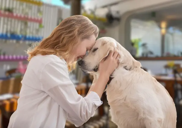 3 restaurantes pet friendly en La Paz que debes visitar con tu mascota