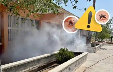 Coahuila refuerza fumigación en escuelas contra dengue y rickettsiosis ante regreso a clases