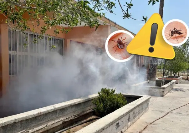 Coahuila refuerza fumigación en escuelas contra dengue y rickettsiosis ante regreso a clases
