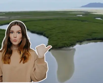 Nat Geo revela desde el aire la belleza de los manglares de Bahía Magdalena en BCS