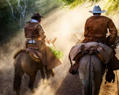 La Recua: un viaje a lomo de mula que revive la historia de Baja California Sur