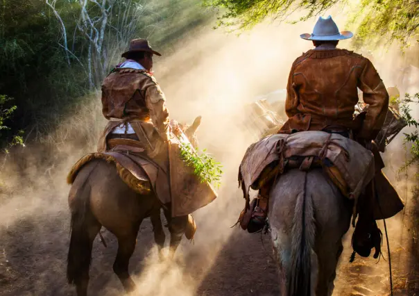 La Recua: un viaje a lomo de mula que revive la historia de Baja California Sur
