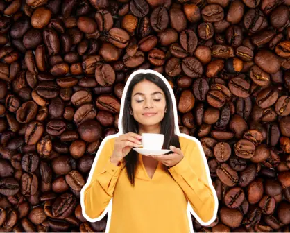 Conoce los municipios productores de café en Tamaulipas