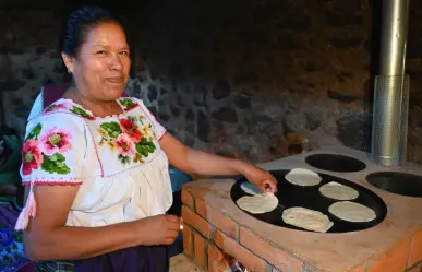 ¿Como construir una estufa eficiente de leña?