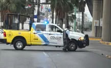 VIDEO | Hombre inicia incendio en palma y causa caos vial en Monterrey
