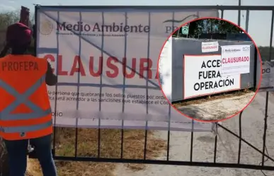 La Profepa clausura granja porcícola en Mérida por falta de permisos