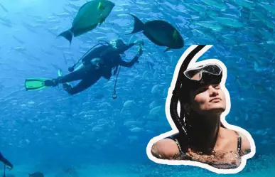 Estas son las 3 mejores playas de Los Cabos para practicar snorkel