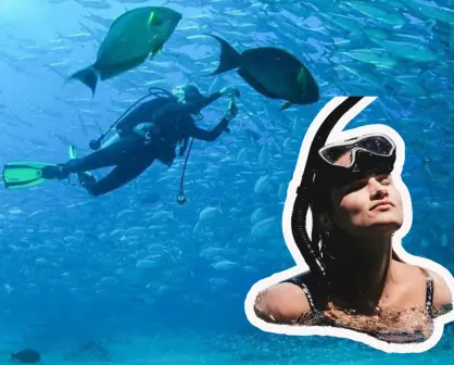 Estas son las 3 mejores playas de Los Cabos para practicar snorkel