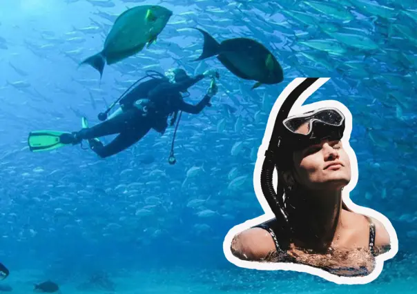 Estas son las 3 mejores playas de Los Cabos para practicar snorkel