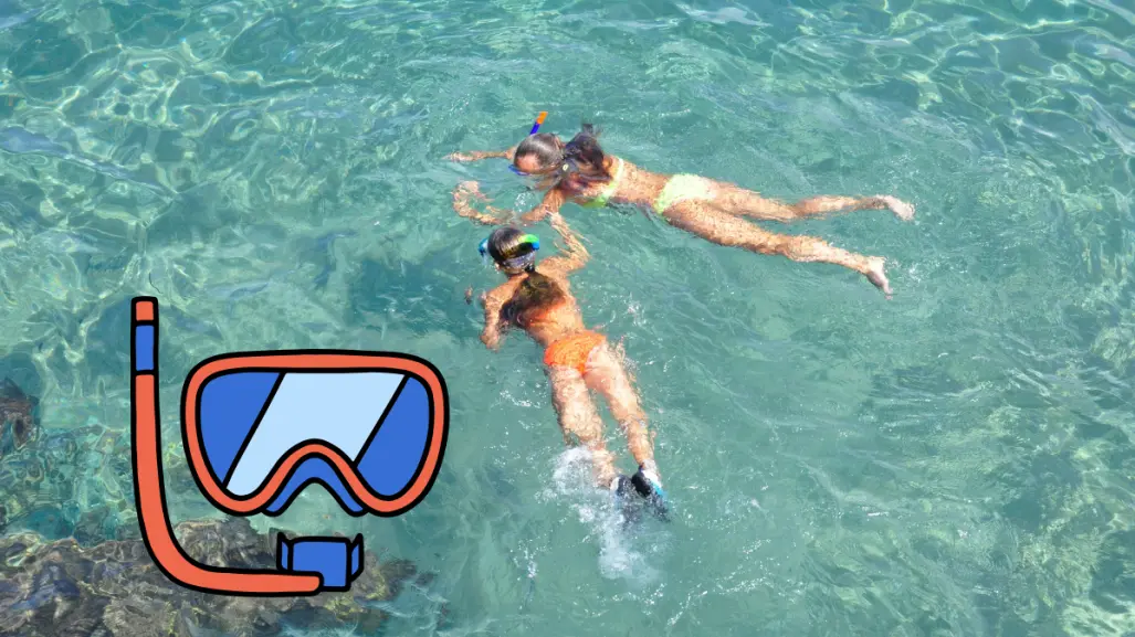 ¿Por qué playa El Requesón es la ideal para hacer snorkel en Mulegé?