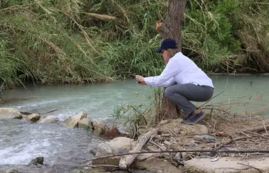 ¿Castores en Coahuila? Protegen su hábitat en Candela