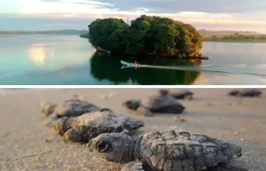¿Conocías este paraíso secreto llamado Barra de Corazones a 4 horas de CDMX?