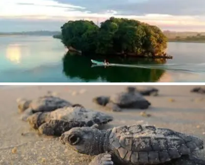 ¿Conocías este paraíso secreto llamado Barra de Corazones a 4 horas de CDMX?