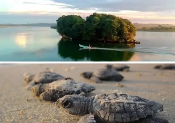 ¿Conocías este paraíso secreto llamado Barra de Corazones a 4 horas de CDMX?