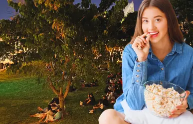 Cine gratis en La Plancha en Mérida, esta es la cartelera para el 26 y 27 de abril