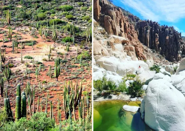 Más del 60% de los ciudadanos desaprueban a sus autoridades en BCS