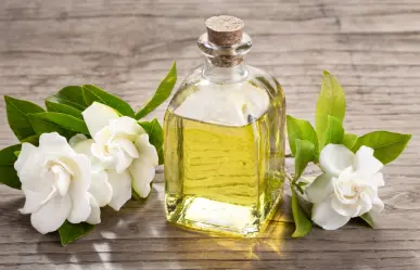 Esta bella flor tienen propiedades curativas para la salud física y emocional
