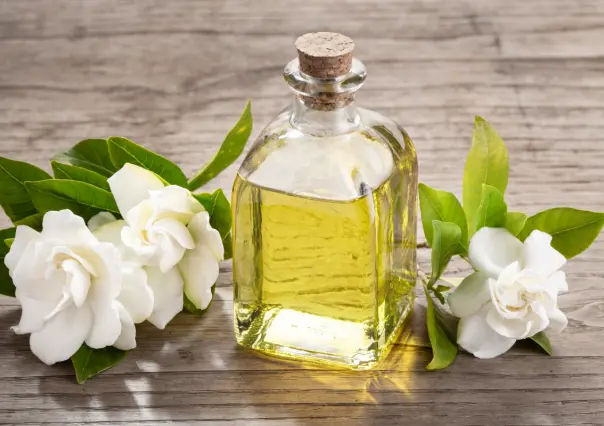 Esta bella flor tienen propiedades curativas para la salud física y emocional