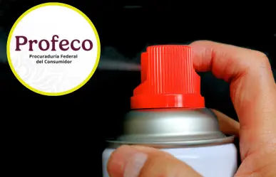 Estos son los mejores insecticidas contra los mosquitos, según Profeco