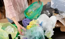 Así puedes cambiar tus reciclables por plantas en Saltillo