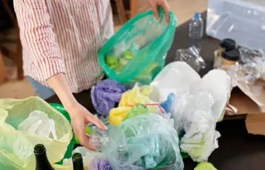 Así puedes cambiar tus reciclables por plantas en Saltillo
