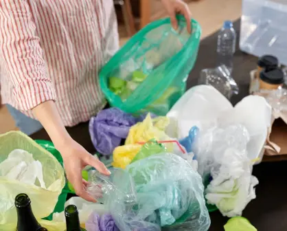 Así puedes cambiar tus reciclables por plantas en Saltillo