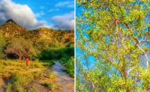 Conoce la Sierra secreta al sur de Baja California Sur que pocos han explorado