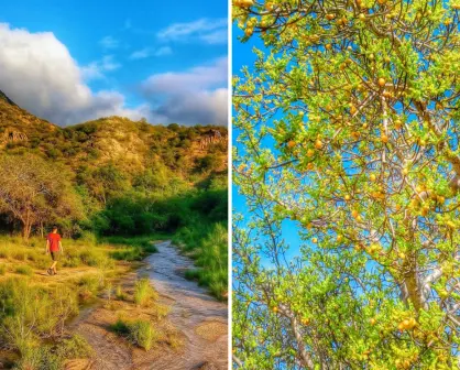 Conoce la Sierra secreta al sur de Baja California Sur que pocos han explorado