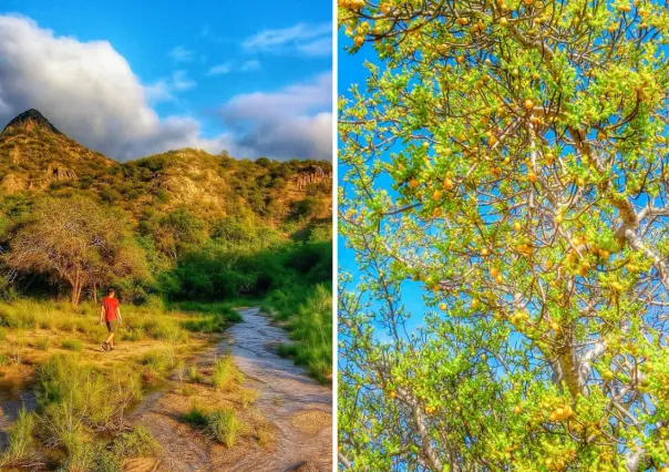 Conoce la Sierra secreta al sur de Baja California Sur que pocos han explorado