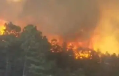VIDEO | Incendio forestal en Durango pone en alerta a autoridades; está en zona boscosa cercana a Chihuahua