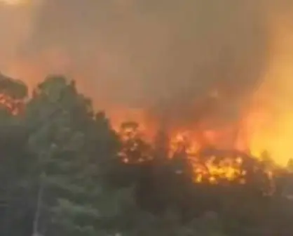 VIDEO | Incendio forestal en Durango pone en alerta a autoridades; está en zona boscosa cercana a Chihuahua