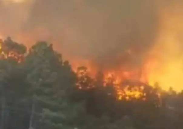 VIDEO | Incendio forestal en Durango pone en alerta a autoridades; está en zona boscosa cercana a Chihuahua