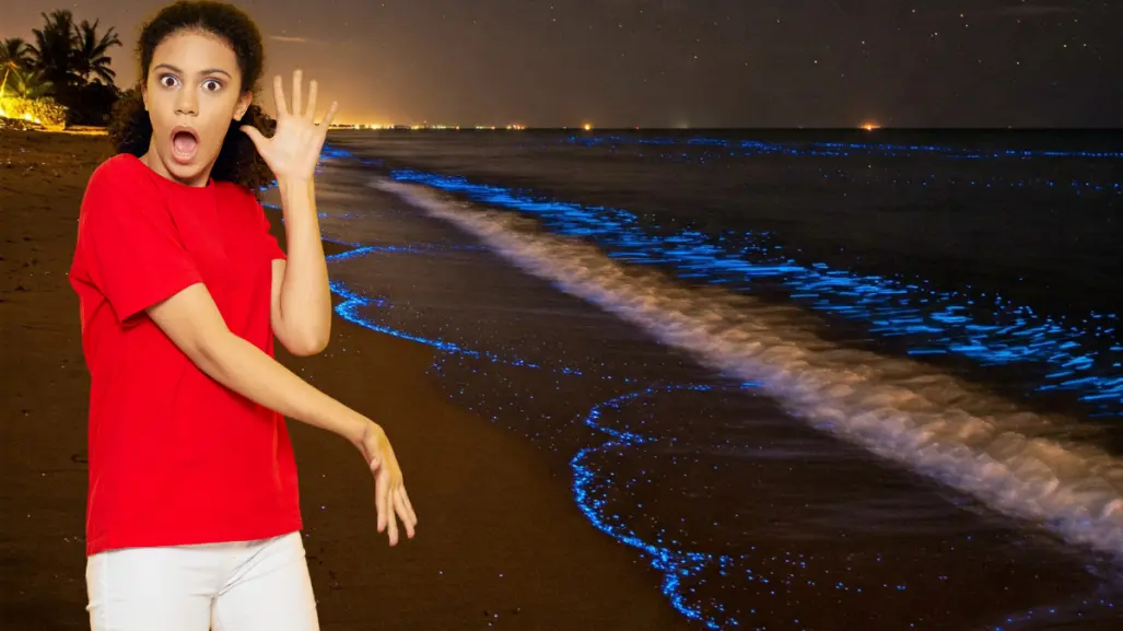 Donde el mar brilla de noche: playas de Yucatán con bioluminiscencia