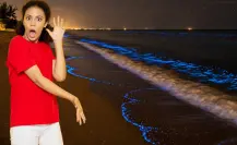 Donde el mar brilla de noche: playas de Yucatán con bioluminiscencia