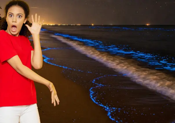 Donde el mar brilla de noche: playas de Yucatán con bioluminiscencia