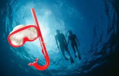 Snorkel en Bahía Magdalena: descubre un paraíso submarino en Baja California Sur