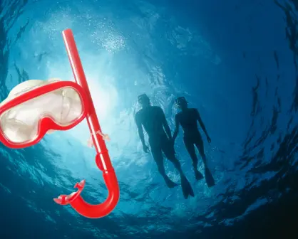 Snorkel en Bahía Magdalena: descubre un paraíso submarino en Baja California Sur