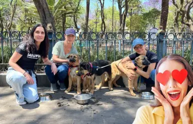 ¡Adopta y apoya perritos en CDMX! Ya viene el Adoptatón 2025 en Chapultepec