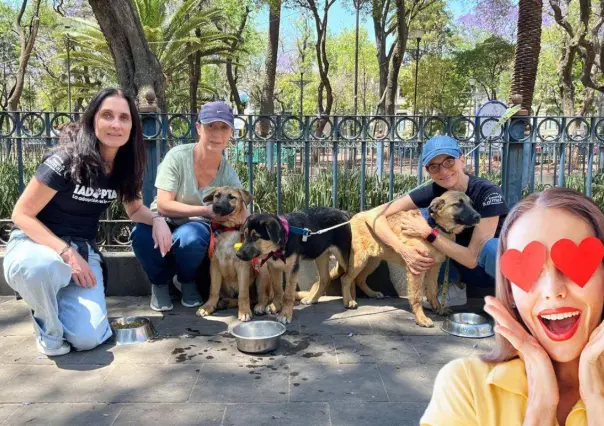 ¡Adopta y apoya perritos en CDMX! Ya viene el Adoptatón 2025 en Chapultepec