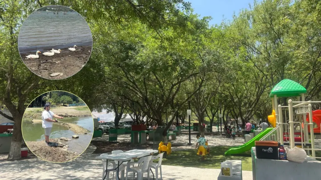 Conoce el hermoso parque escondido que está a solo 3 minutos de la Presa La Boca